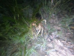 immersioni-estate22 17